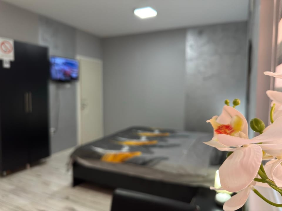 Mitić Apartmani 1 Vacation rental in Serbia