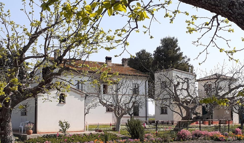 Silos Torrenova House in Marche