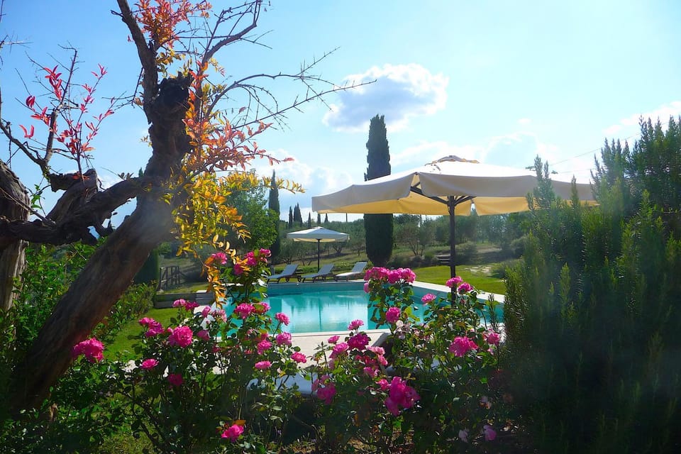 Garden, Garden view, Pool view, Swimming pool
