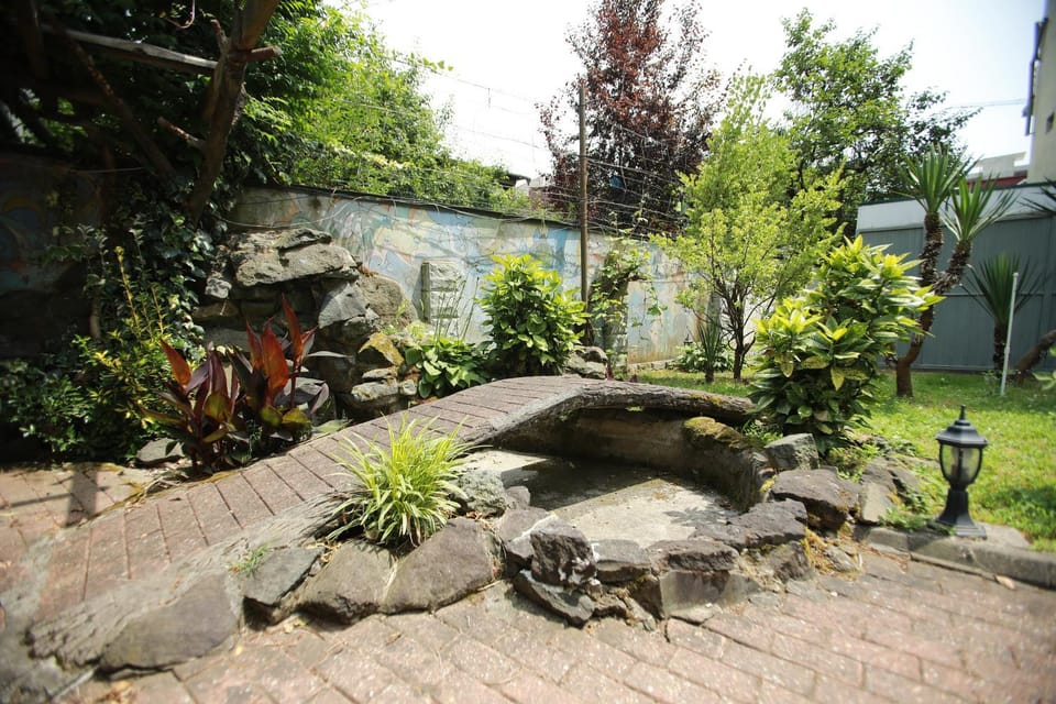 Spring, Garden