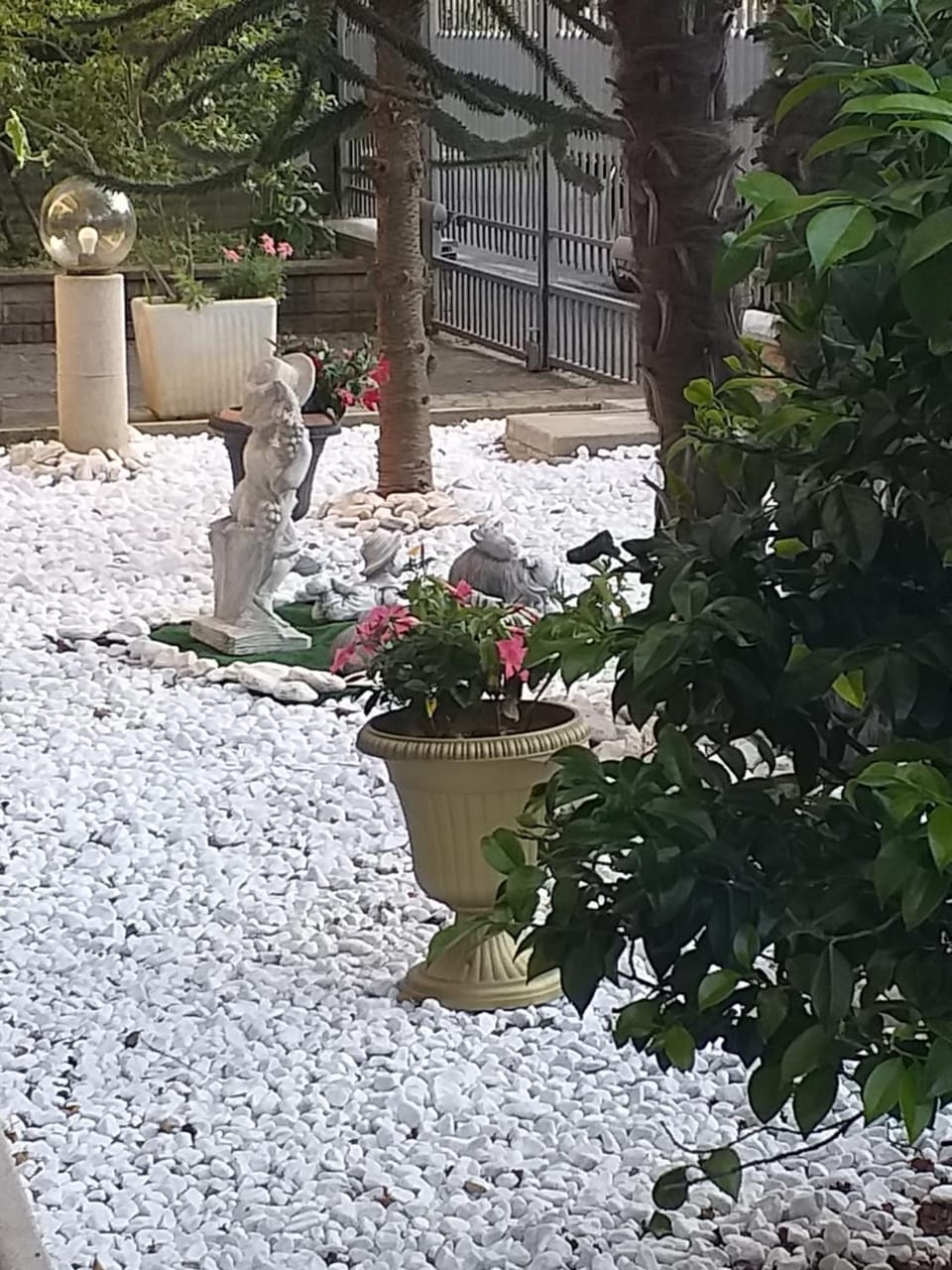 Patio, Facade/entrance, Garden