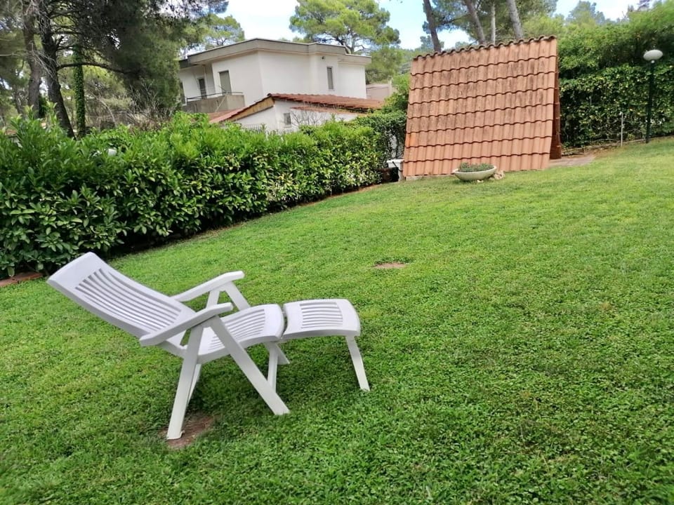 Natural landscape, Garden, Garden view, sunbed