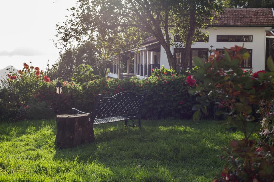 Garden, Garden