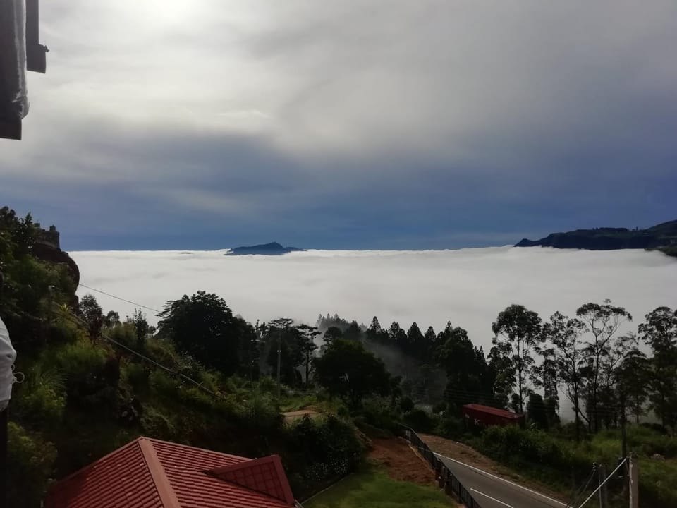 Natural landscape