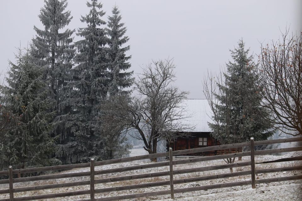 Flower Bell Bed and Breakfast in Romania