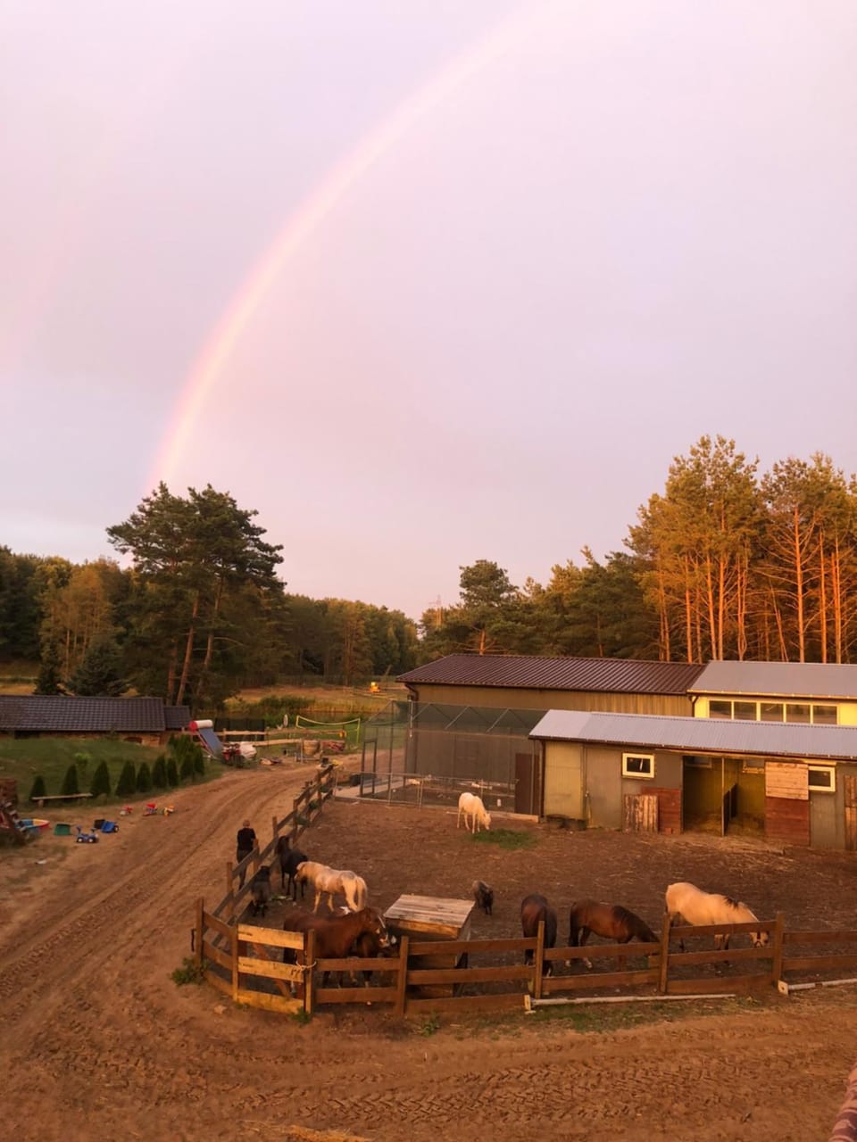 Quatro Osrodek Jezdziecki - Gospodarstwo Agroturystyczne Farm Stay in Greater Poland Voivodeship