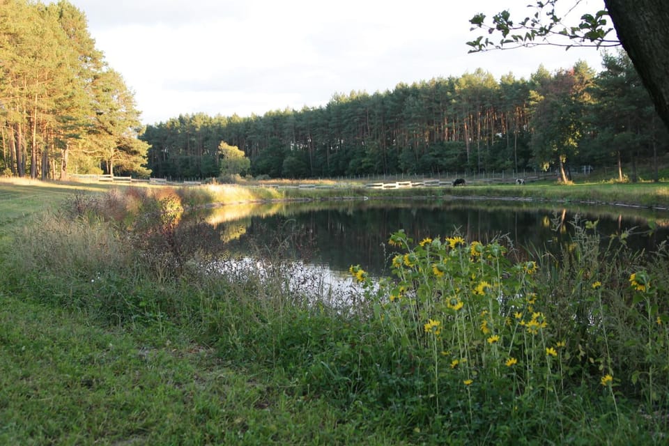 Quatro Osrodek Jezdziecki - Gospodarstwo Agroturystyczne Farm Stay in Greater Poland Voivodeship