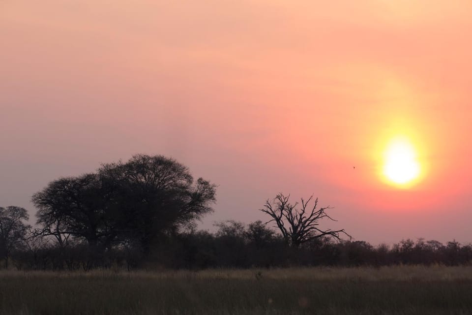 Neighbourhood, Natural landscape, Sunset