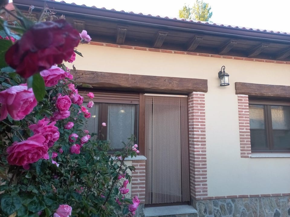 Property building, Patio, Inner courtyard view