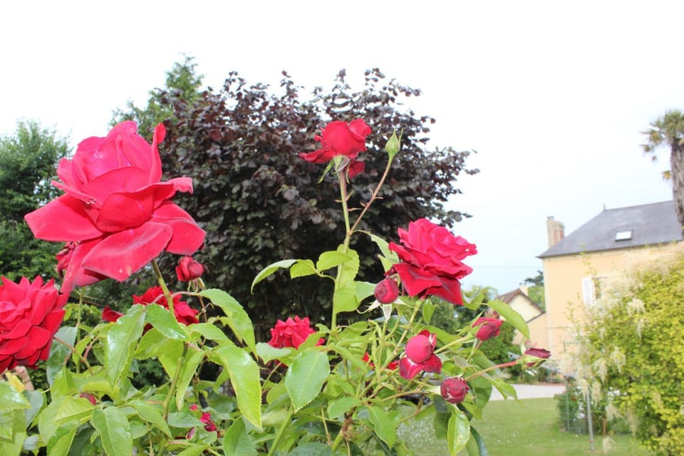 Chambres d'Hôtes La Gloriette Bed and Breakfast in Normandy