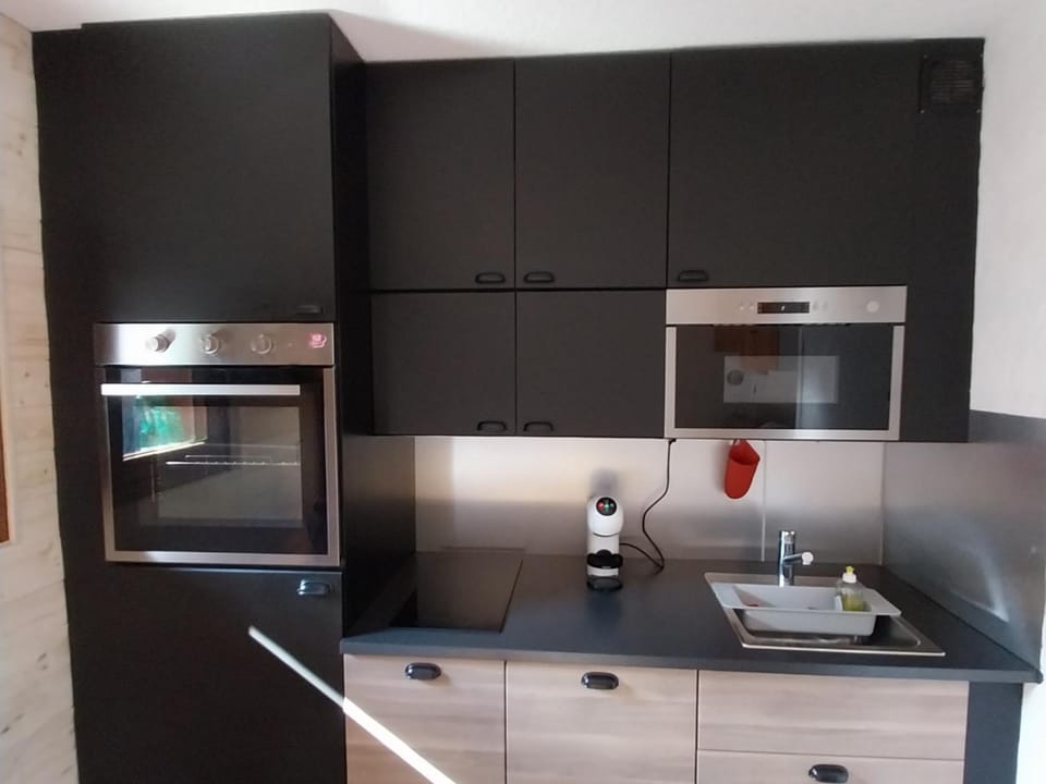 Studio cabine 4 pers, animaux acceptés et balcon - FR-1-263-34 Cabin in Auvergne-Rhône-Alpes
