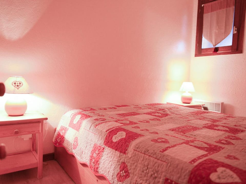 Triplex 5 pièces, 6 personnes, balcon exposé Sud, petit animal accepté - FR-1-263-286 Apartment in Auvergne-Rhône-Alpes