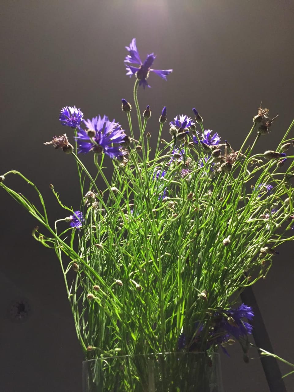 Summer, Decorative detail