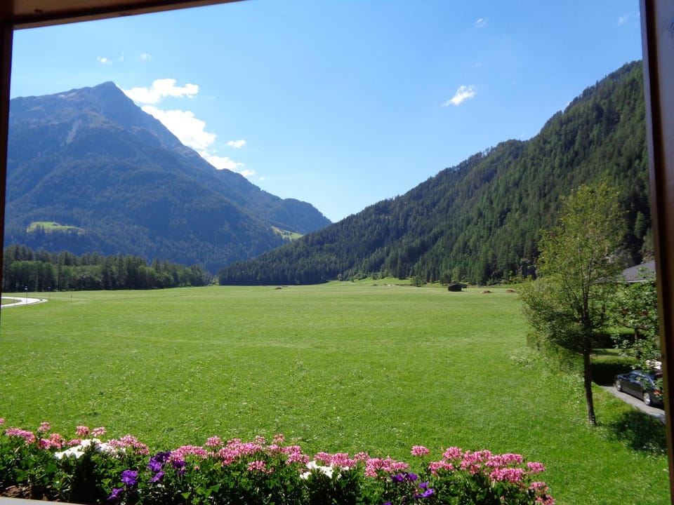 Natural landscape, View (from property/room)