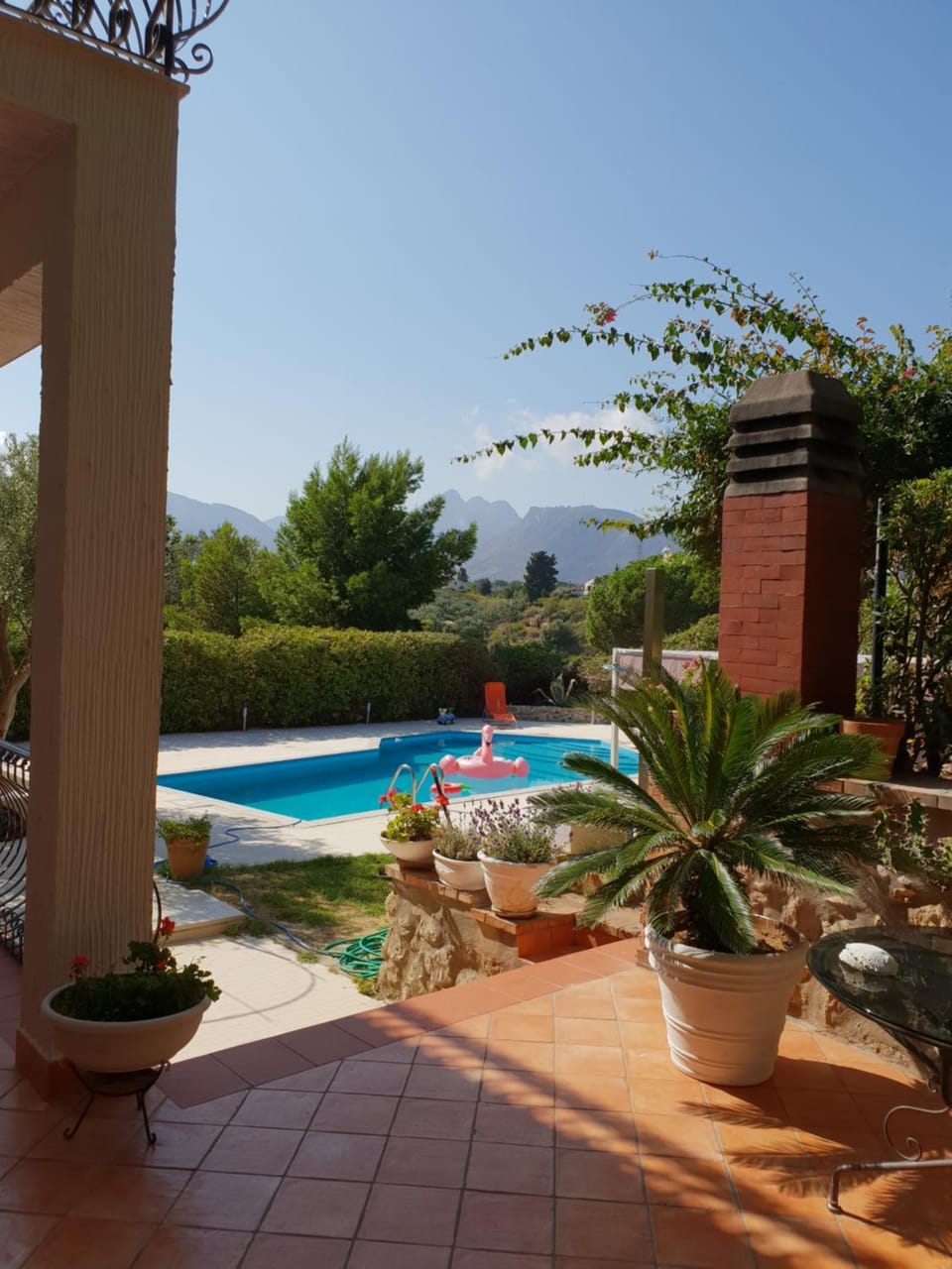 Property building, Day, Garden, Garden view, Pool view, Swimming pool