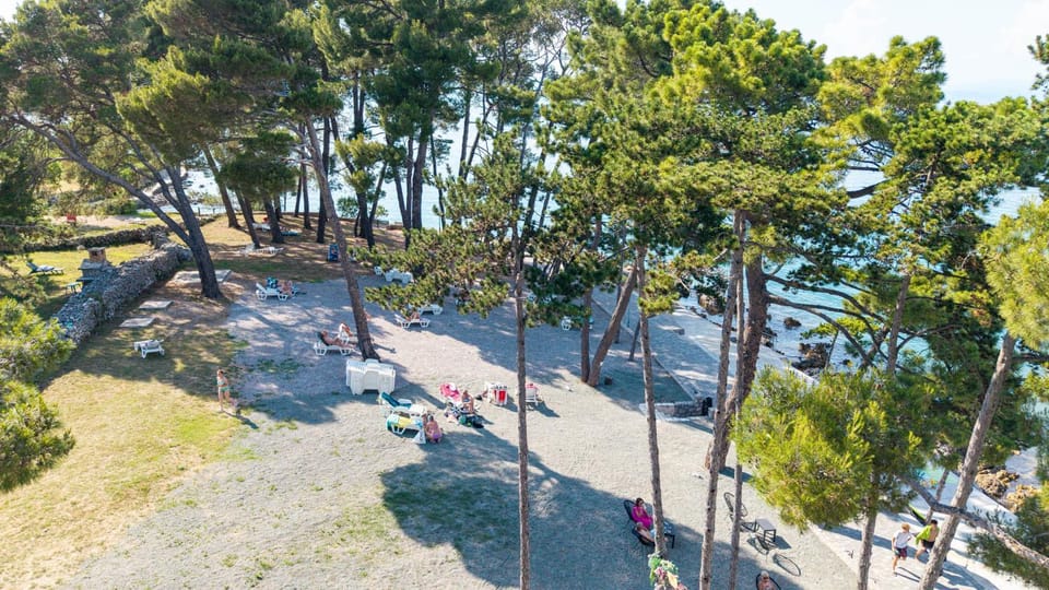 Beach, Beach