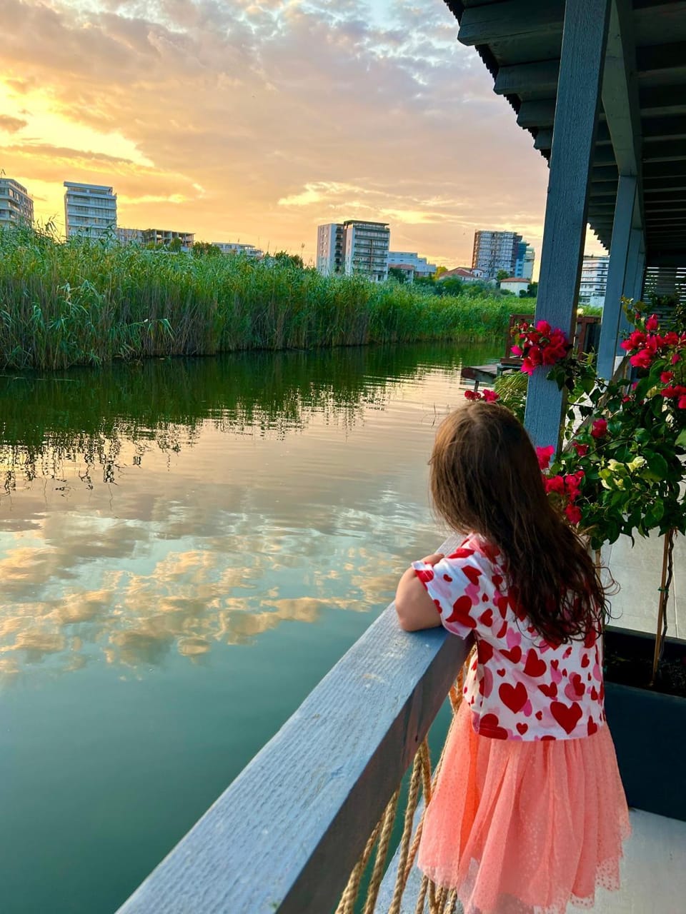 Natural landscape, Lake view