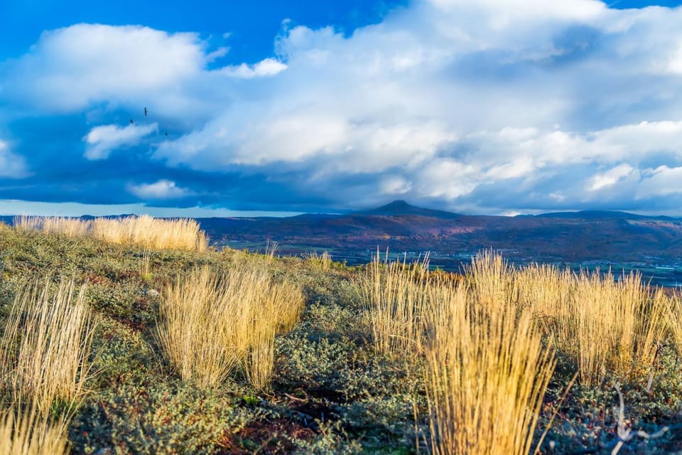 Natural landscape