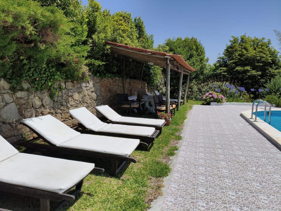 Swimming pool, sunbed