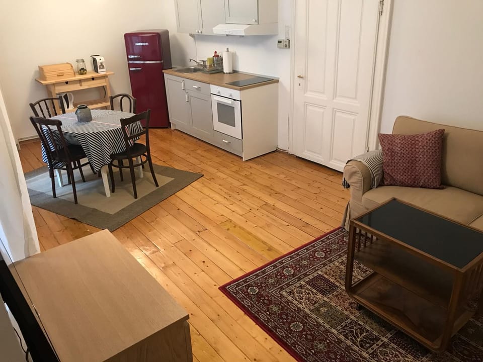 Wiener Lebensgefühl im Herzen der Josefstadt Apartment in Vienna