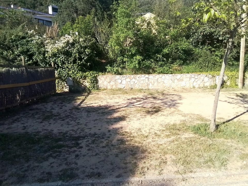 Natural landscape
