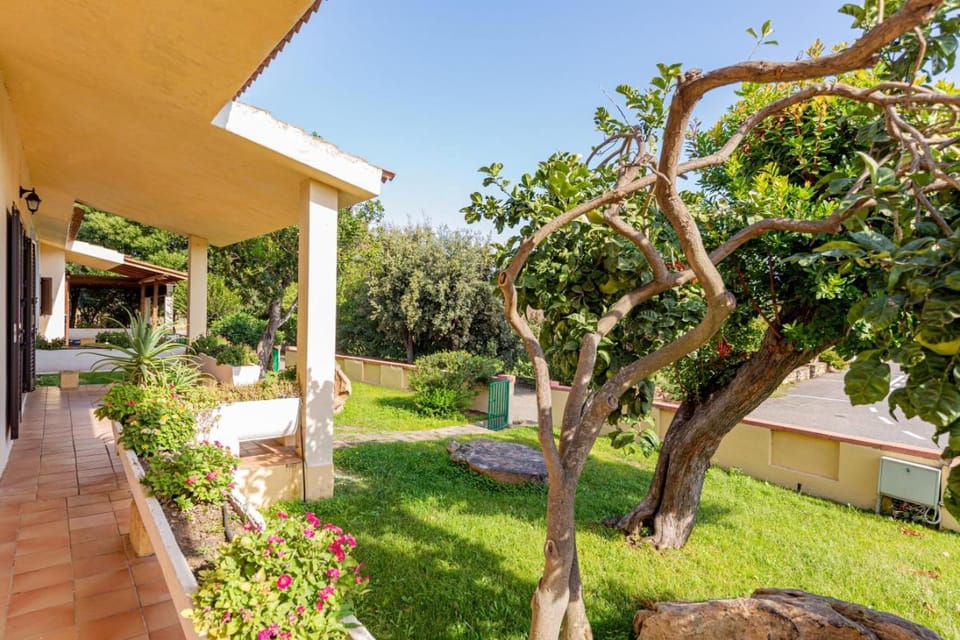 Property building, Patio, Garden, Garden view