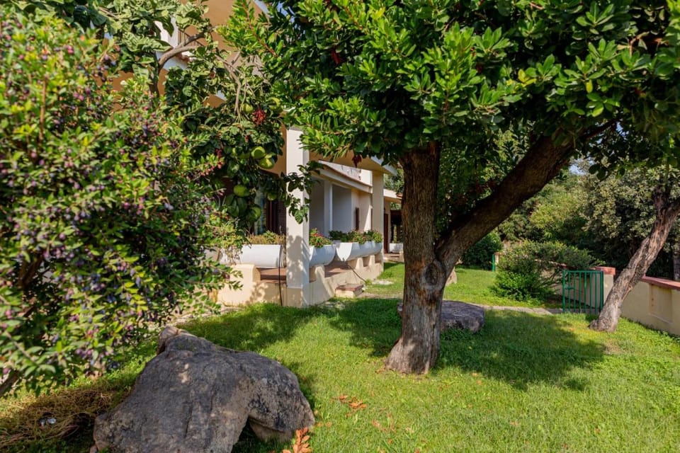 Property building, Patio, Garden, Garden view