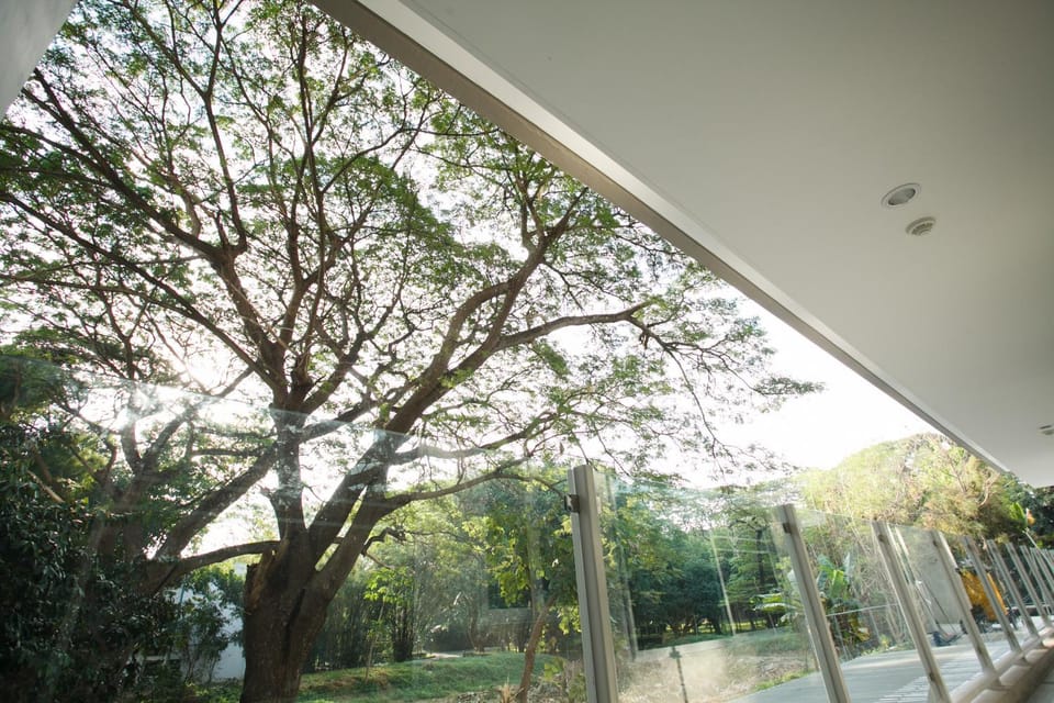 Patio, Garden view