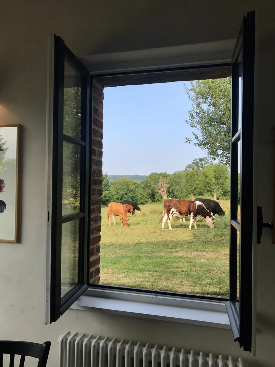 View (from property/room)
