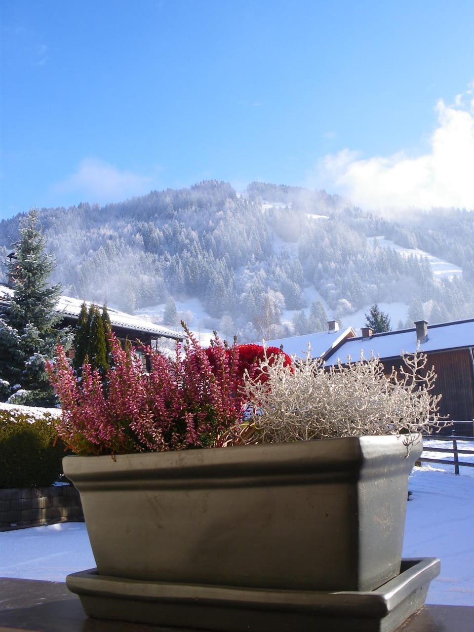 Winter, Mountain view
