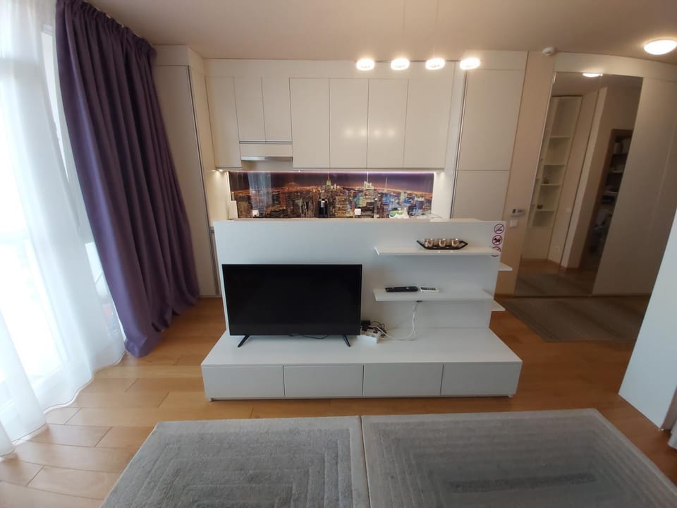 TV and multimedia