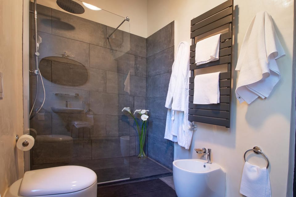Shower, Toilet
