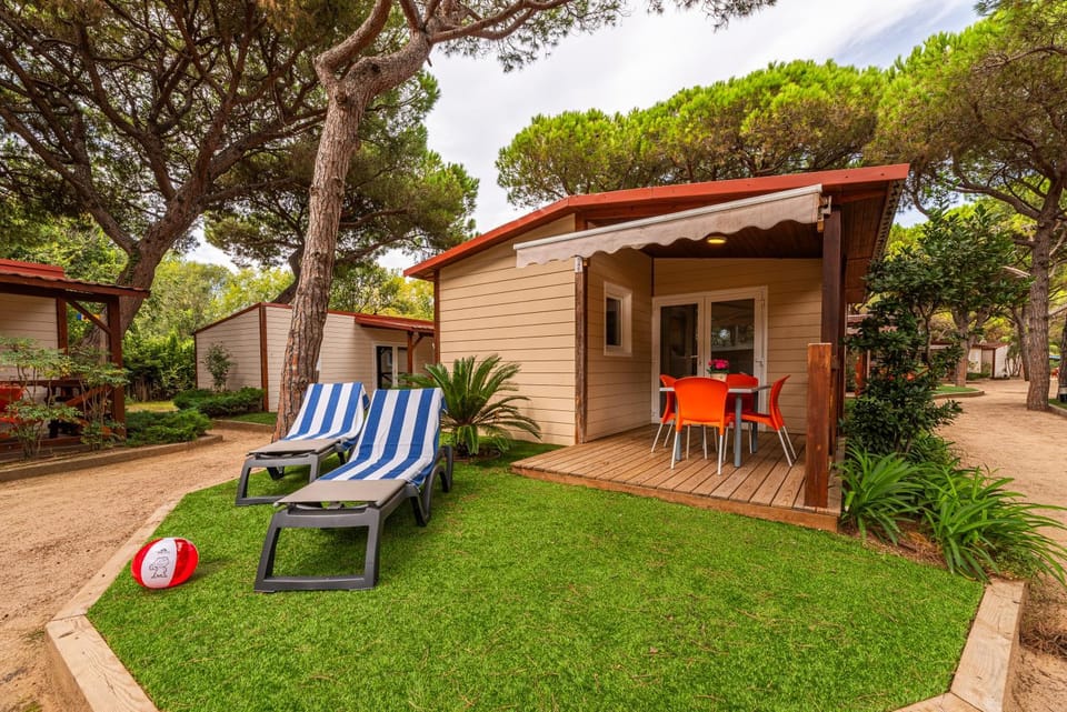 Garden, Garden view, sunbed