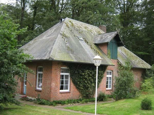 Property building, Day, Garden
