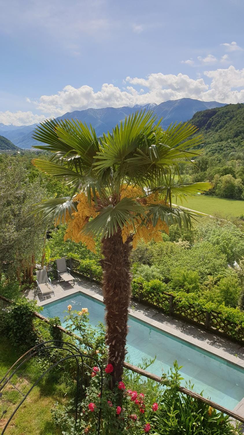 Garden, Swimming pool