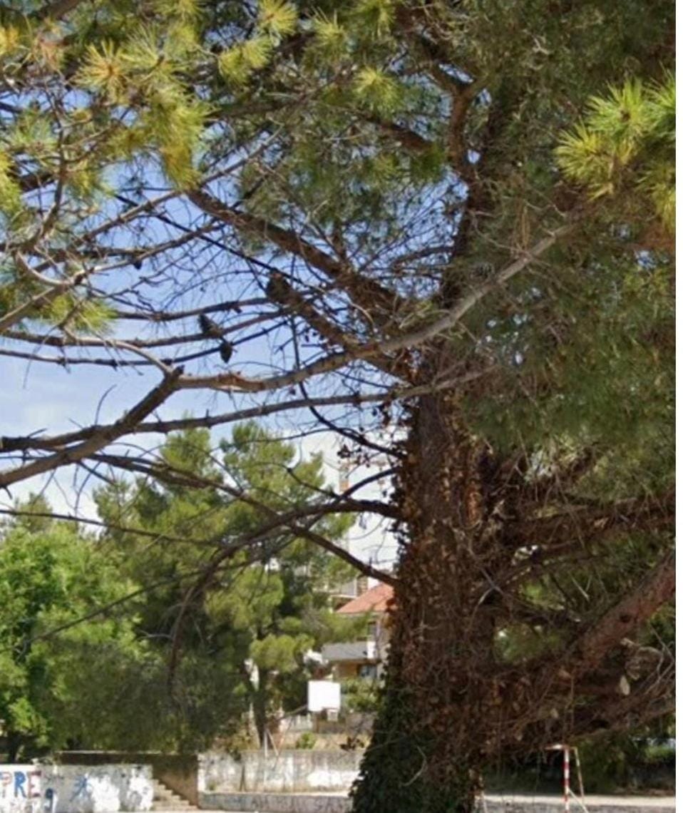 Hana Apartments Apartment in Zadar
