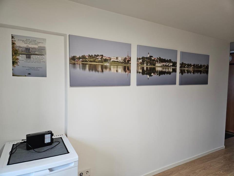 Buto nuoma Žemaitės gatvėje Apartment in Lithuania