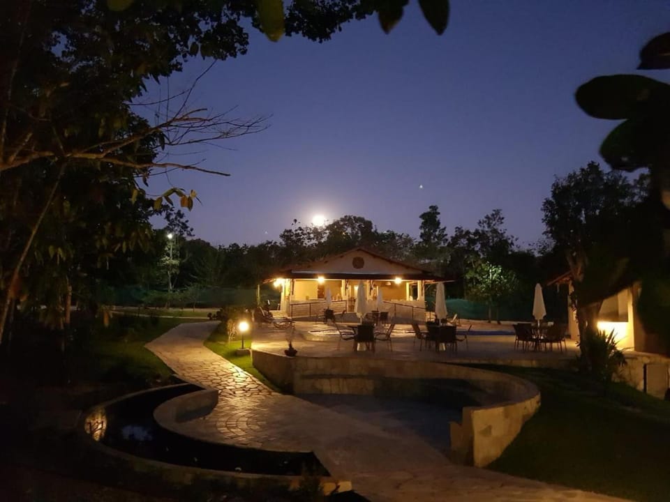 Night, Natural landscape, Garden view