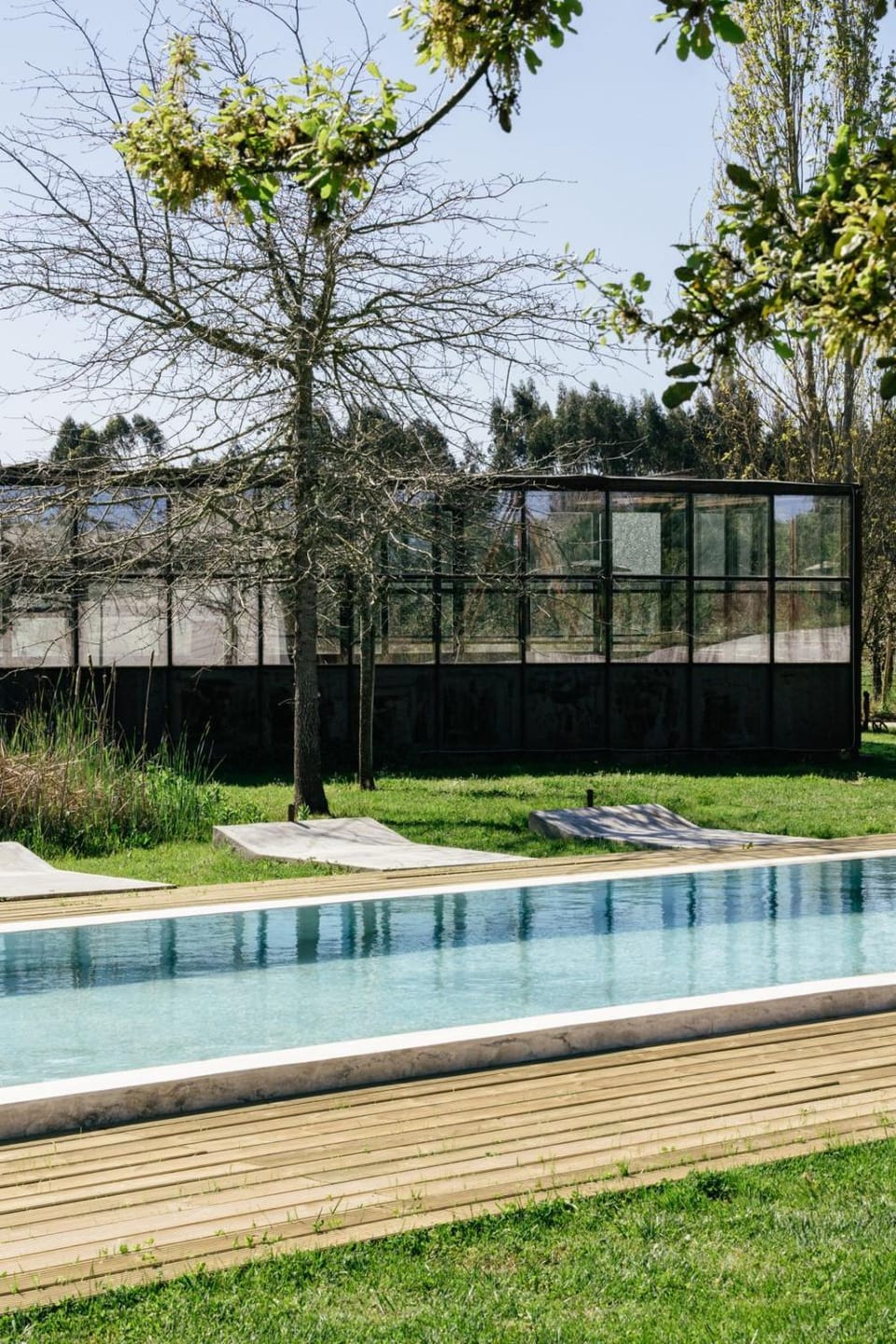 Spring, Natural landscape, Garden, Garden view, Pool view, Swimming pool