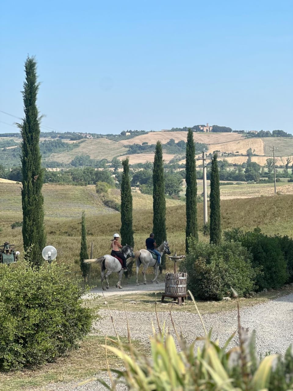 Wine Resort Colsereno Farm Stay in Tuscany