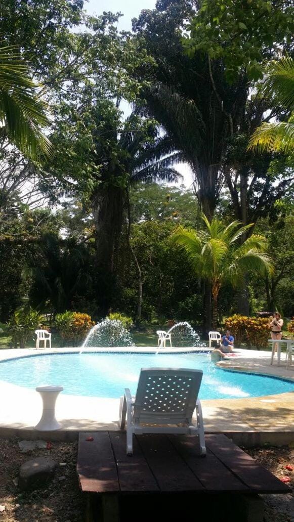 Swimming pool