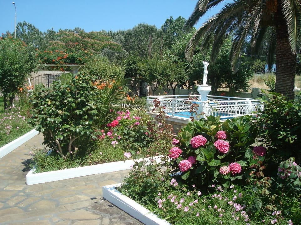Villa Tonia Apartments Apartment in Halkidiki