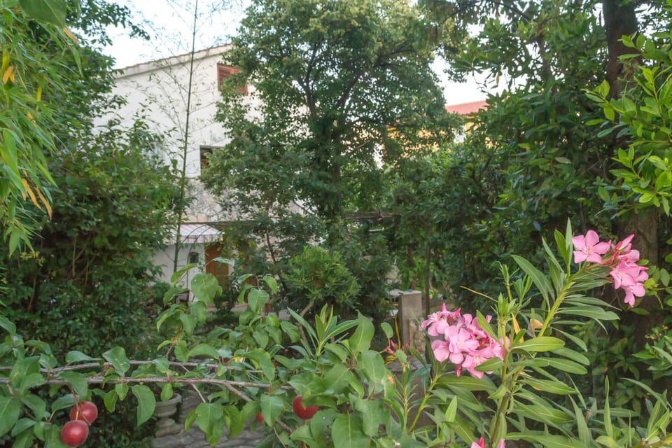 Property building, Garden