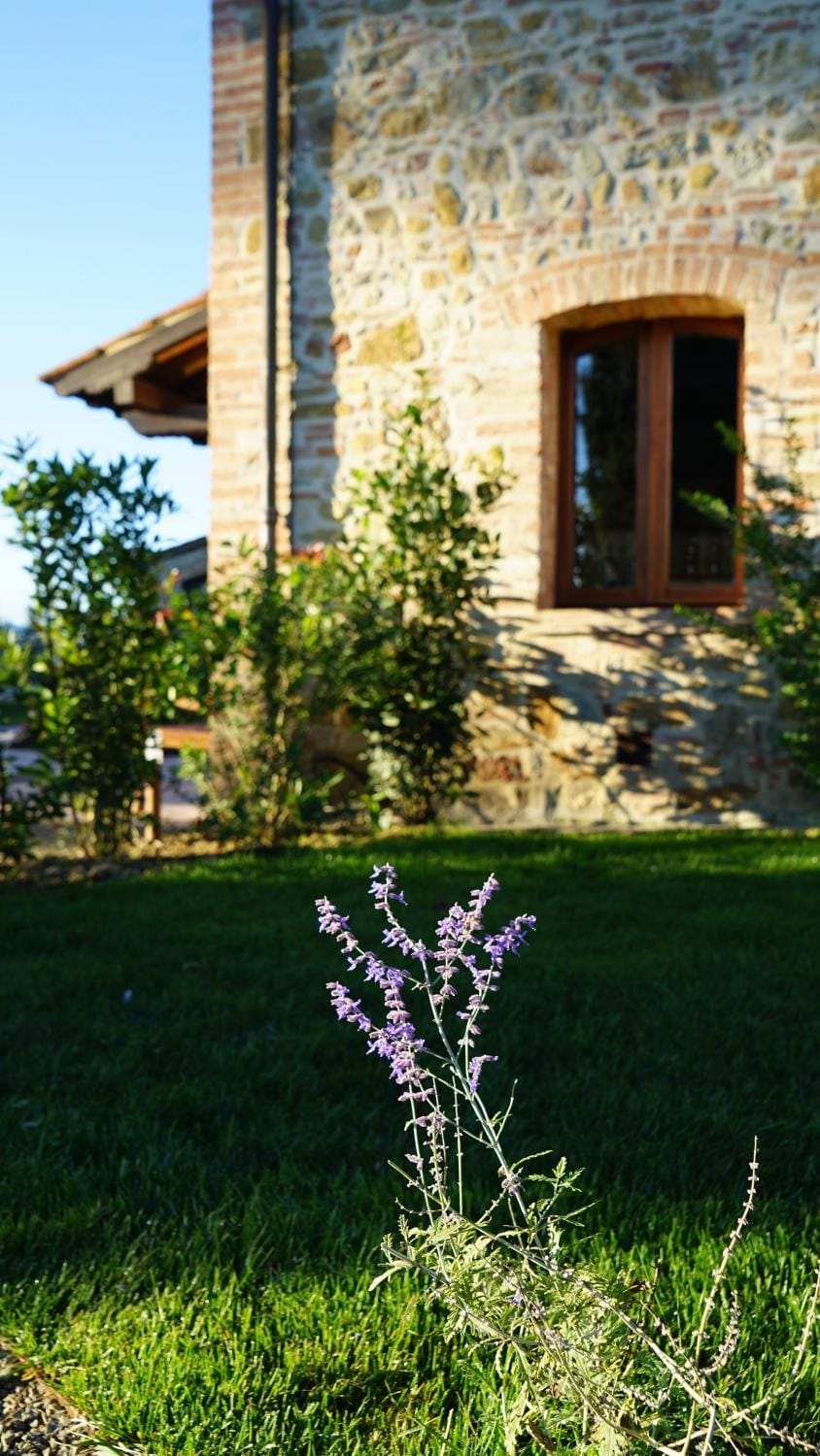 Mormoraia Farm Stay in Tuscany