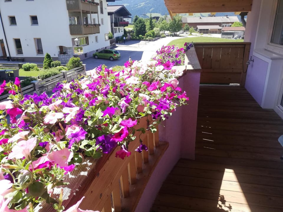 Day, Balcony/Terrace
