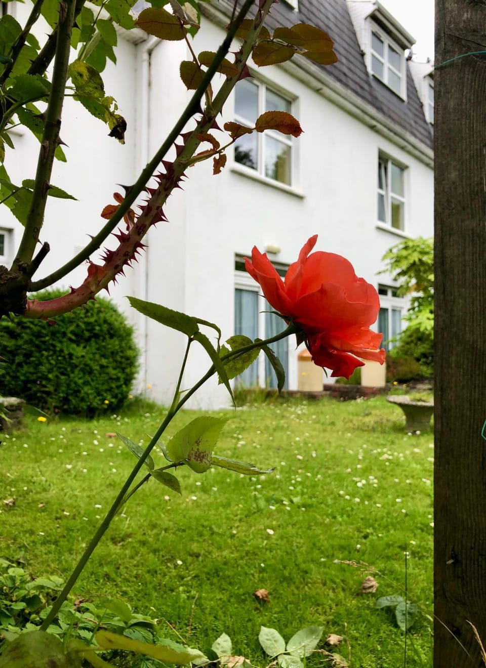 Belvedere Lodge Bed and Breakfast in Cork City