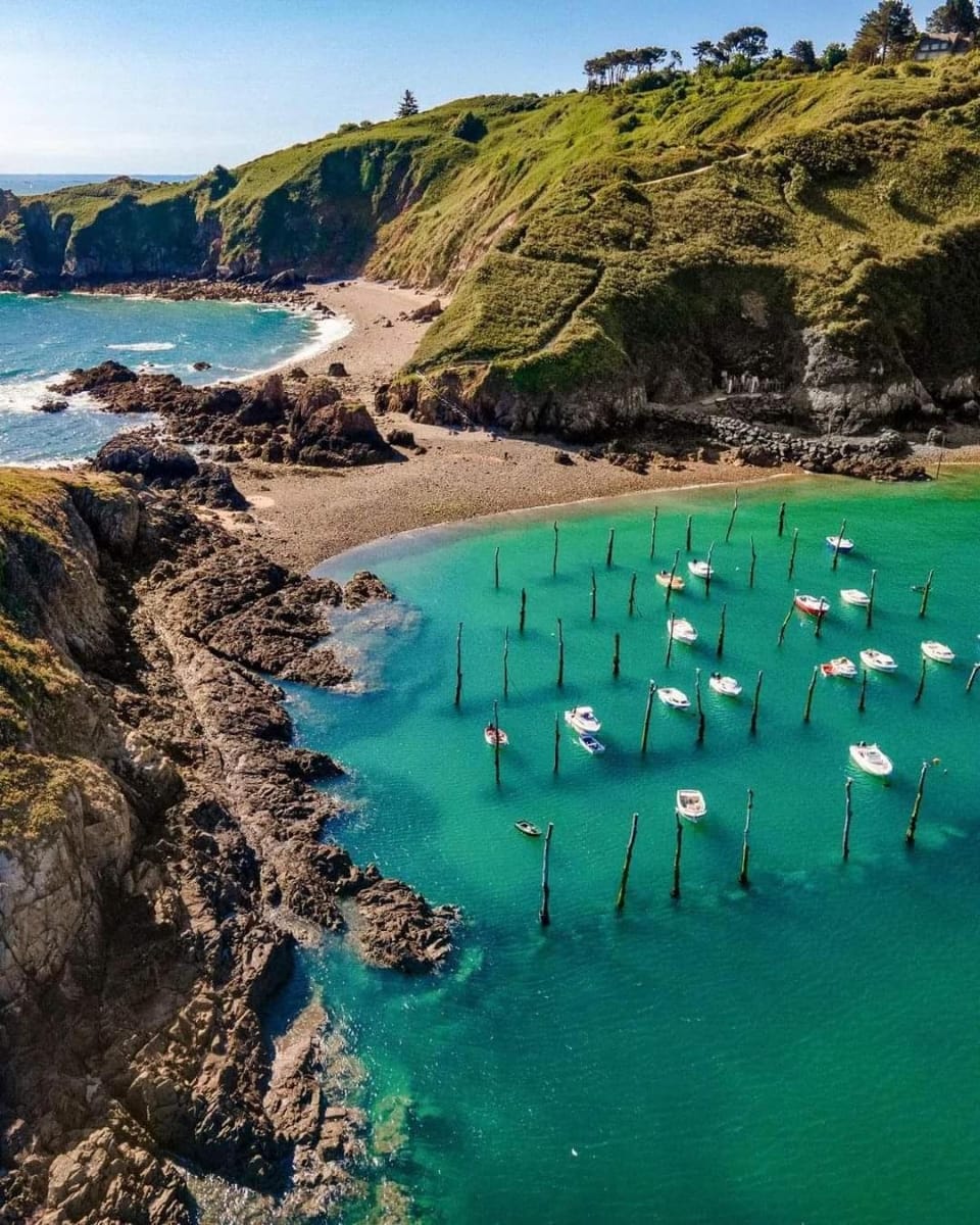 Hotel - LE PERROQUET Hotel in Brittany