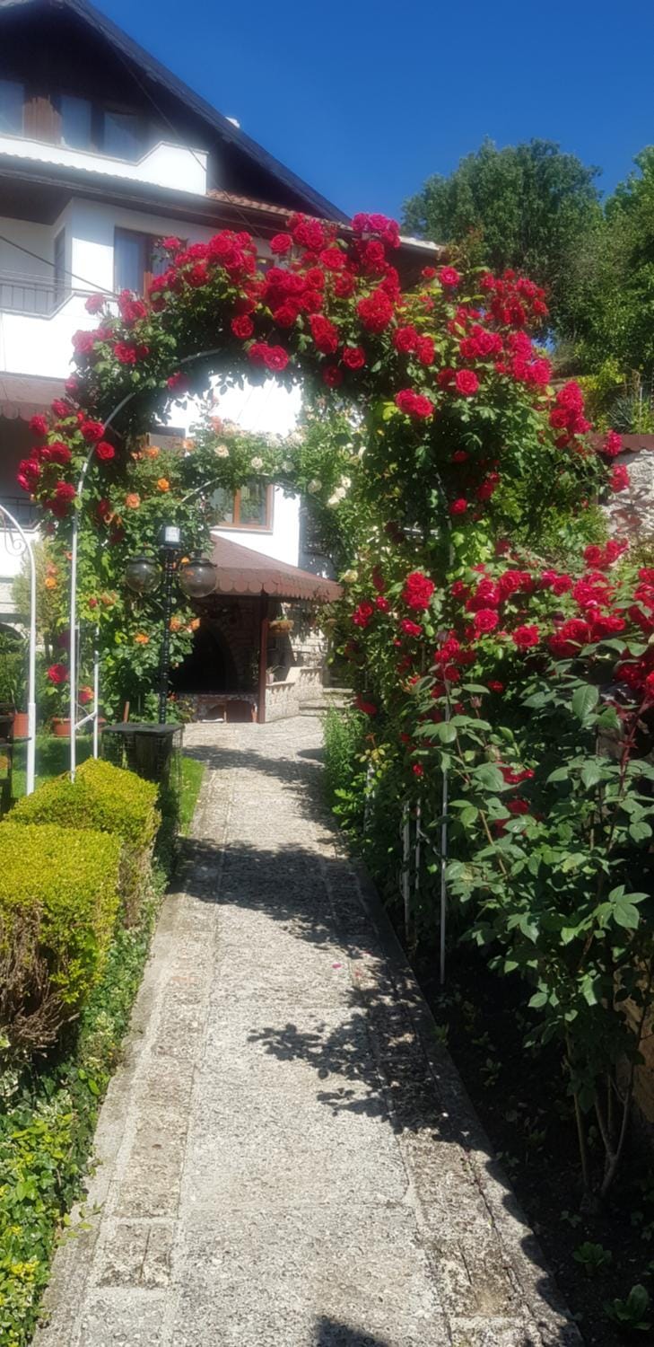 Стаи за гости "КАТИ" Guest rooms "KATI" Bed and Breakfast in Dobrich Province, Bulgaria