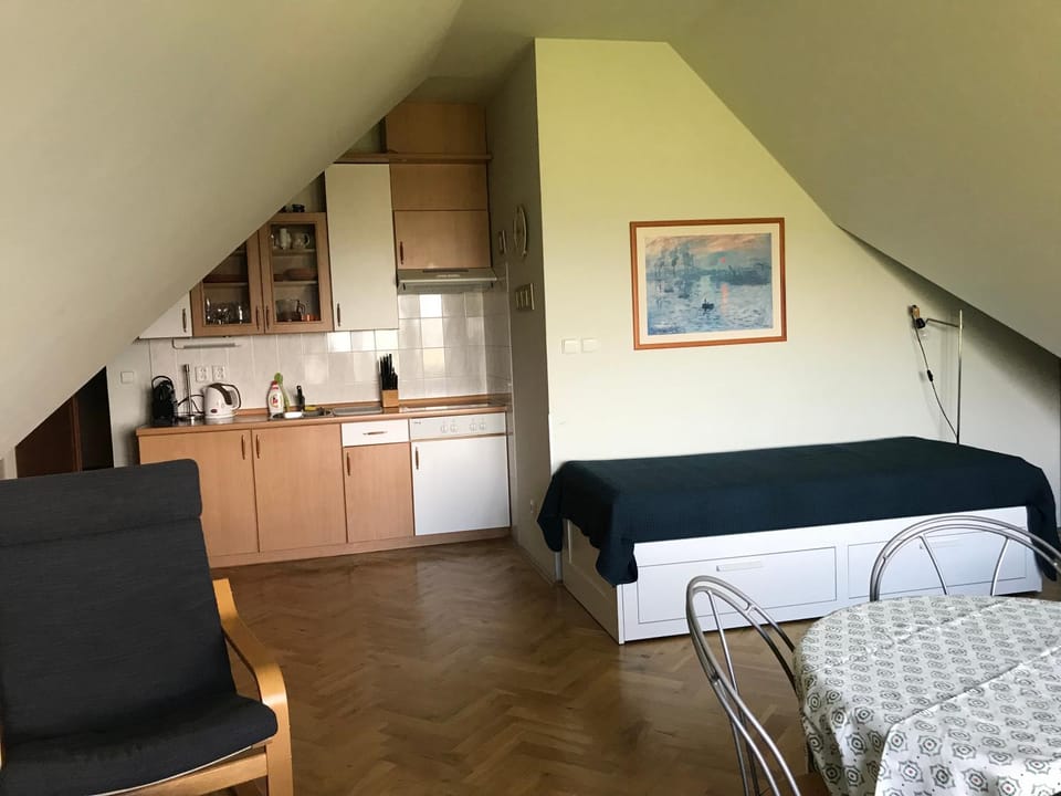 Coffee/tea facilities, Kitchen or kitchenette, Photo of the whole room