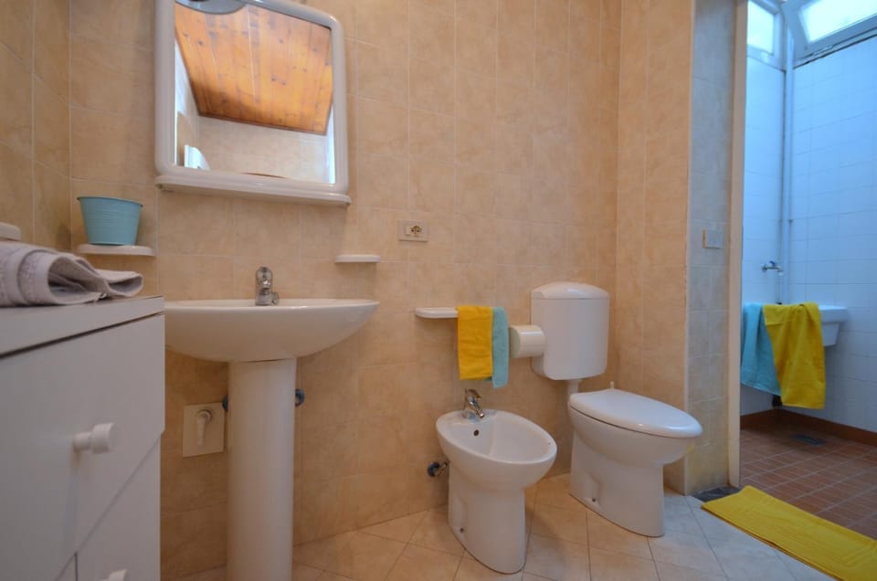 Toilet, Bathroom, bidet